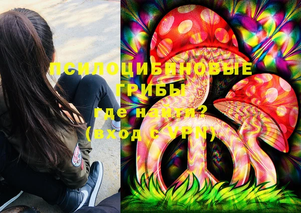 дмт Горно-Алтайск