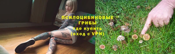 дмт Горно-Алтайск