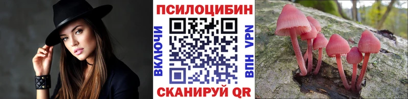 Псилоцибиновые грибы Psilocybine cubensis Новомичуринск